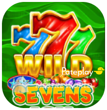 PATEPLAY61